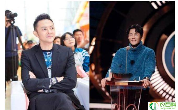 杜淳印小天到底什么事件