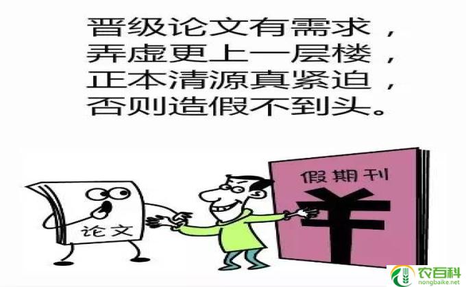 聊胜于无的意思是什么