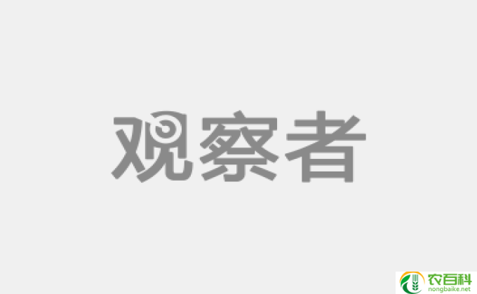 怎么种野花