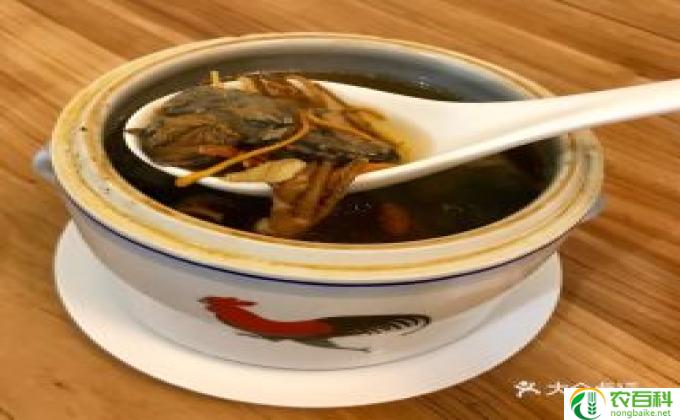 乌鸡煲什么汤好喝(乌鸡煲汤推荐）