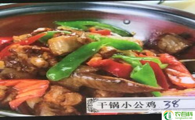 公鸡爱吃什么(公鸡美食中心）
