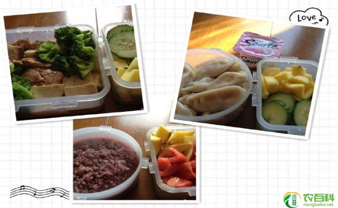 减肥午餐吃什么最好(午餐减肥食谱   ）