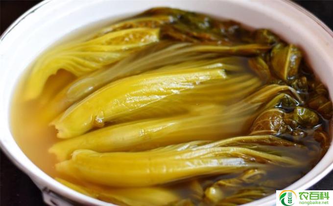酸菜有什么好处
