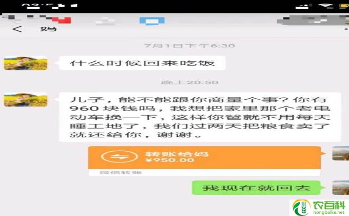 岁月像一把杀猪刀全句