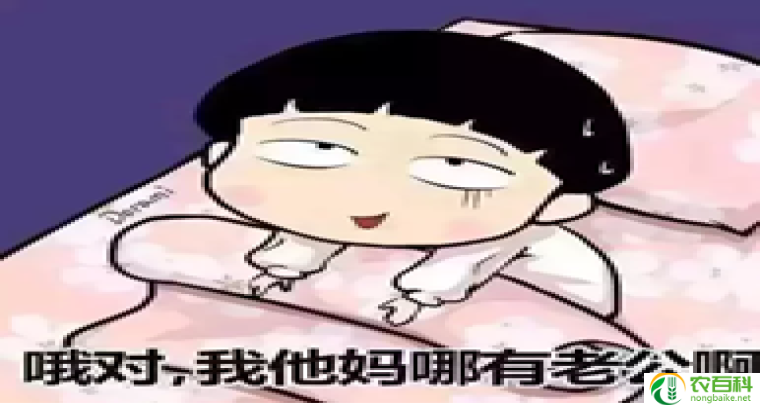 自负（自我膨胀）