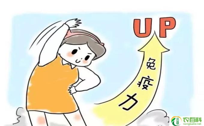 什么东西增加免疫力(增强免疫力的方法)