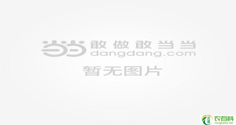 玫瑰花礼盒图片（浪漫花香，传递爱意）