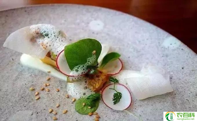 牛油果怎么摆成花(摆盘技巧:牛油果花)