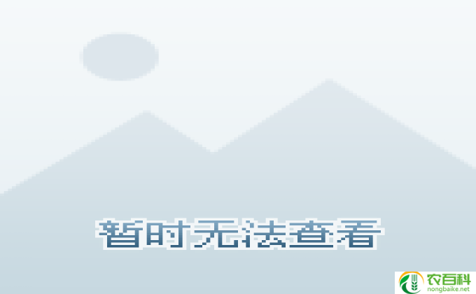 手机自动录音怎么取消,取消手机自动录音的方法：