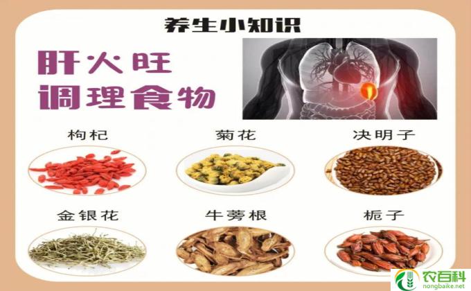 保肝护肝吃什么好