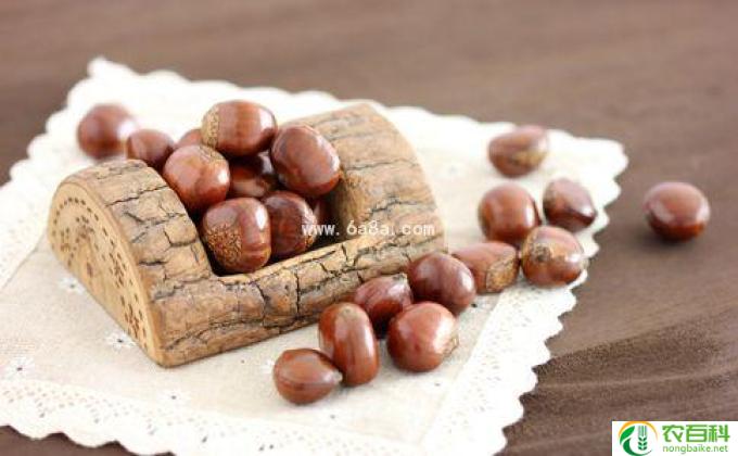 板栗对人体有什么好处