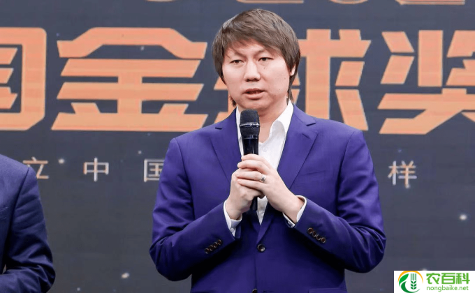 李宁历年代言人