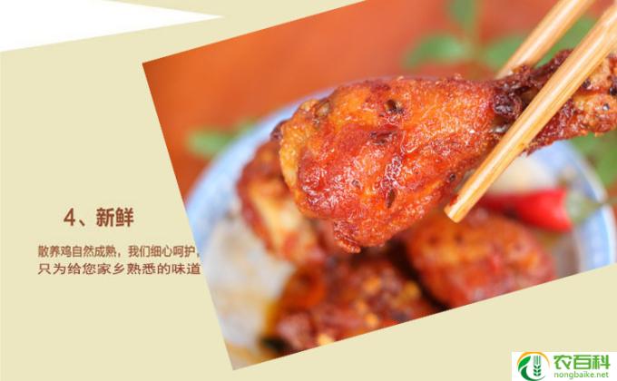什么是鸡翅根(我的标题是：鸡腿根解密！）