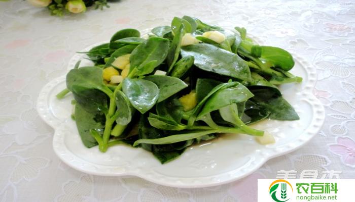 穿心莲的家常做法(简单易学,营养美味)