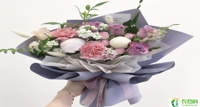 看病人的鲜花（传递爱与关怀的芬芳之礼）