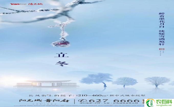 拂晓的意思是什么