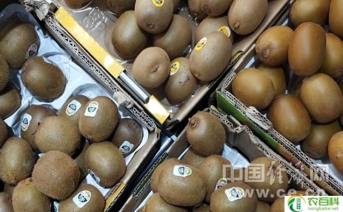吃什么水果降胆固醇(水果降胆固醇）
