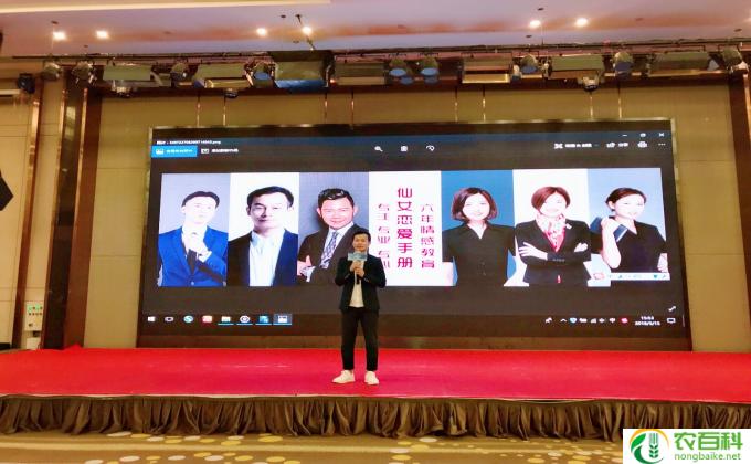 地瓜榕树怎么修剪(地瓜榕修剪技巧）
