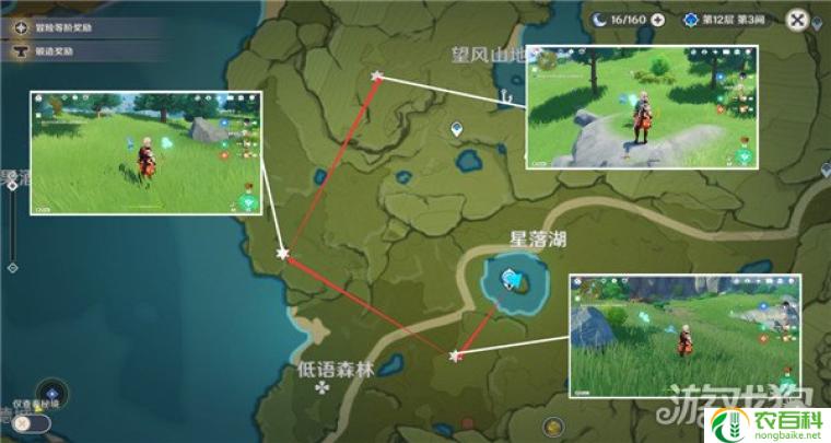 蒲公英种子采集路线（探索自然宝藏的旅程）