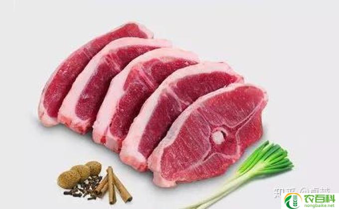 羊肉不能跟什么一起吃