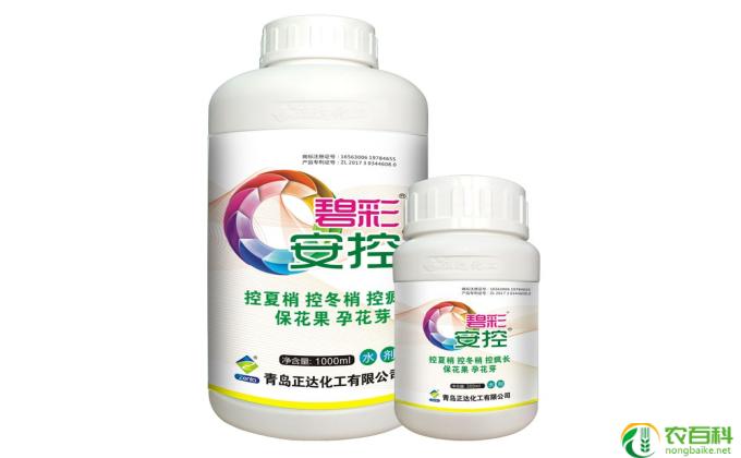 害羞草怎么养(害羞草养护要点：保湿、避光、注意温度调控)