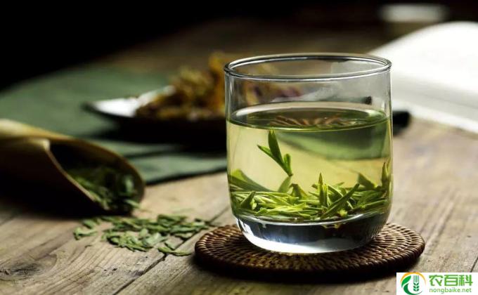 什么茶叶比较好喝