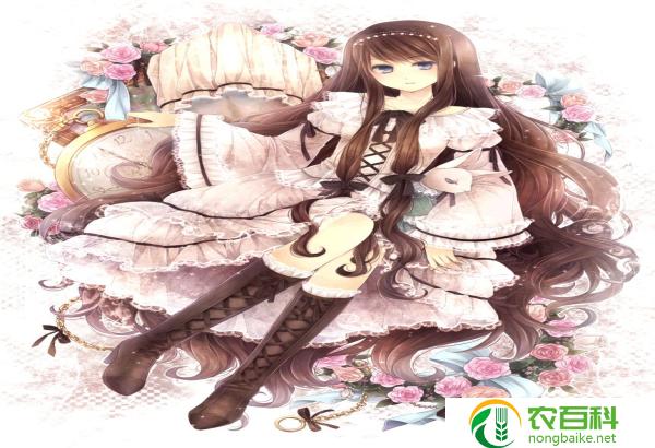 六叶草象征恶魔（邪恶的象征）
