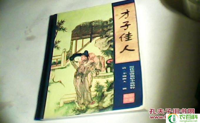 才子佳人成语的意思,才情与美貌的完美结合