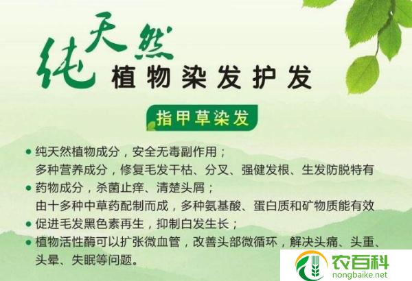 什么经济作物最赚钱（种植者必读）