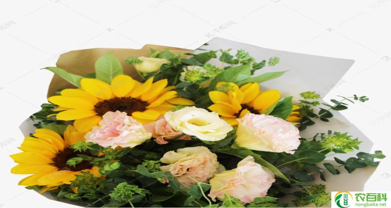 鲜花花束图片大全大图(美丽花海,尽显花艳)