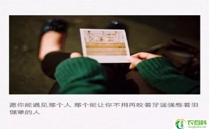 无话不说到无话可说的意思,话到嘴边,无言薄有