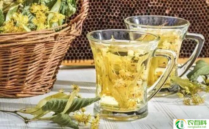 什么茶清肺润喉(清肺润喉的茶该喝什么呢？）