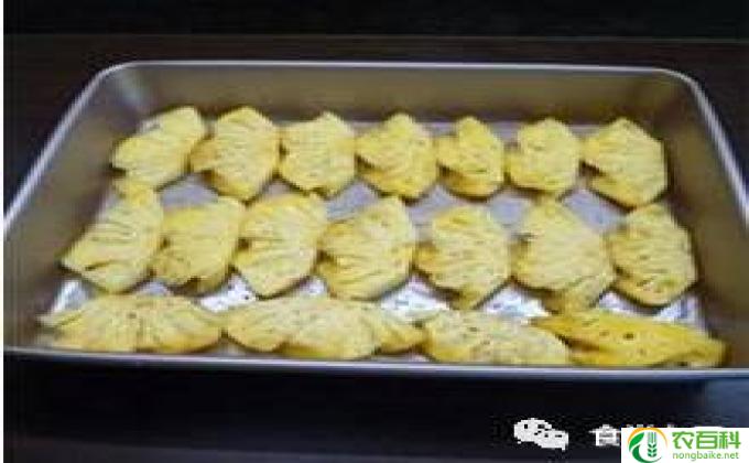 什么是饮食(饮食之谜）