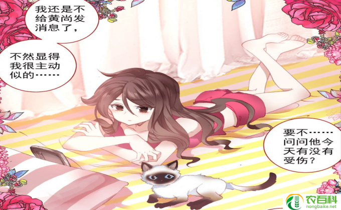 异世界舅舅漫画为什么断更了
