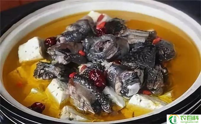 乌鸡和什么一起炖最好