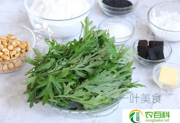 做青团的艾草和艾蒿区别(选用和口感差异大)