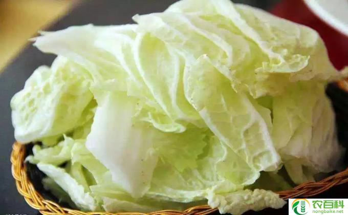 炒白菜放什么调料