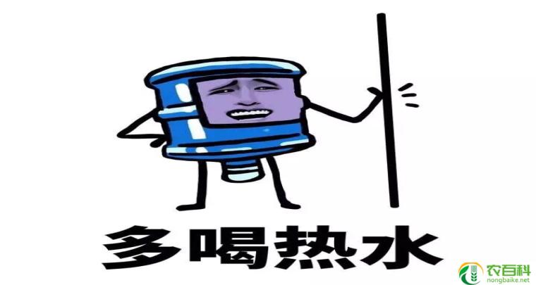 脸皮厚的人有多厉害（无所畏惧，成就非凡）