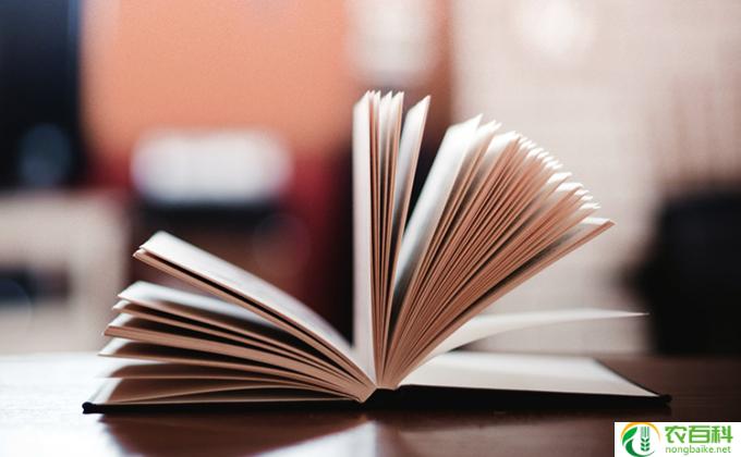 虹之玉怎么养出鲜红色(鲜红色的虹之玉养殖技巧）