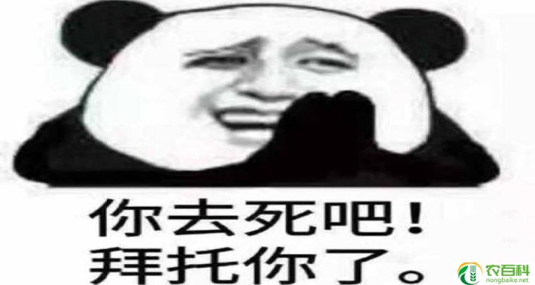 脸皮厚也是一种能力(在面对困难时坚持不懈的秘诀)