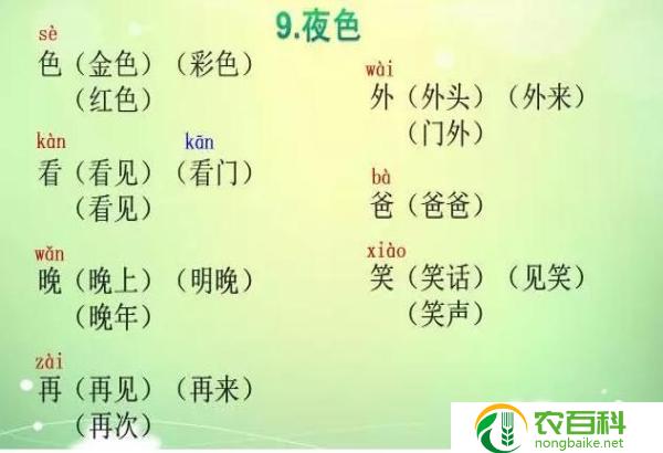 二年级什么像什么的句子大全(二年级创造力大爆发！)