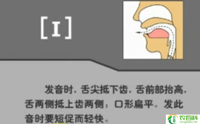 小ks是代表什么